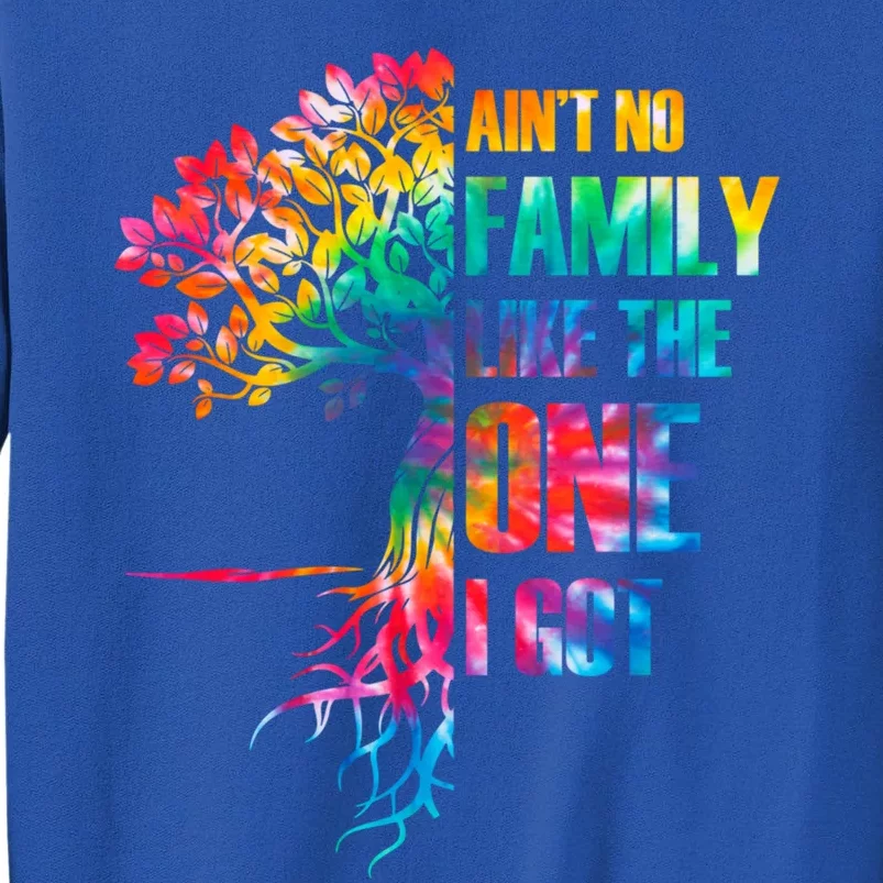 Tie Dye Ain't No Family Like The One I Got Family Reunion Gift Tall Sweatshirt