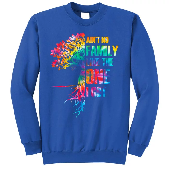 Tie Dye Ain't No Family Like The One I Got Family Reunion Gift Tall Sweatshirt