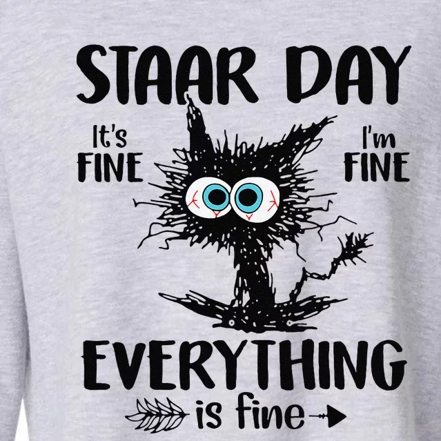 Test Day Black Cat Teacher Student Staar Testing Day Cropped Pullover Crew