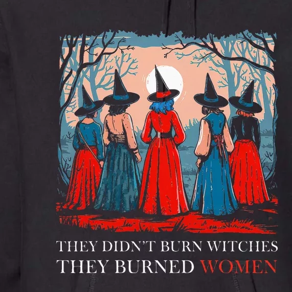 They DidnT Burn Witches They Burned Women Witchy Feminist Premium Hoodie