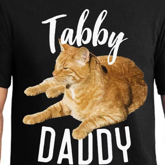 Tabby Daddy Cat Lover Funny Saying Graphic Gift Pajama Set