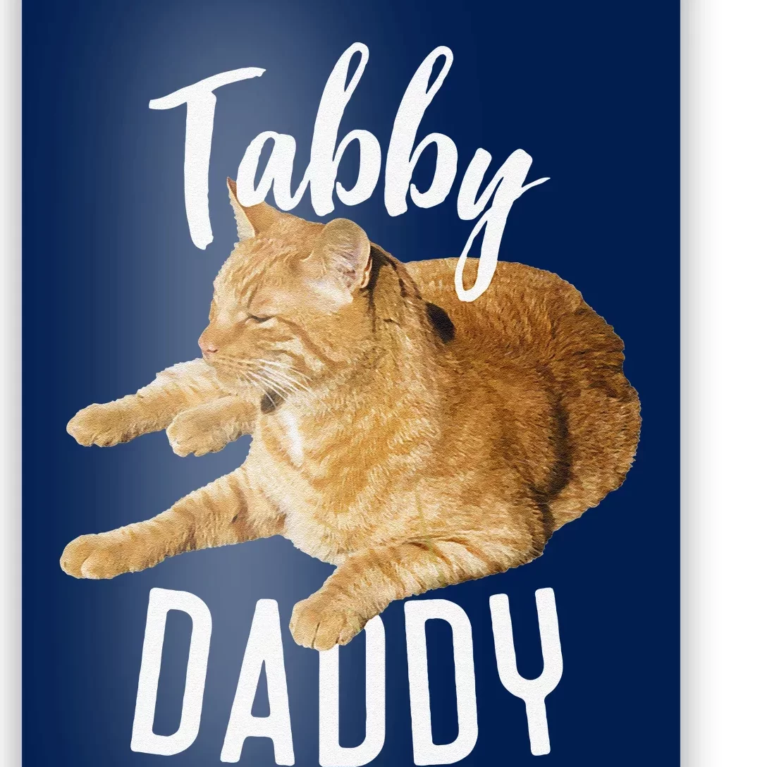 Tabby Daddy Cat Lover Funny Saying Graphic Gift Poster