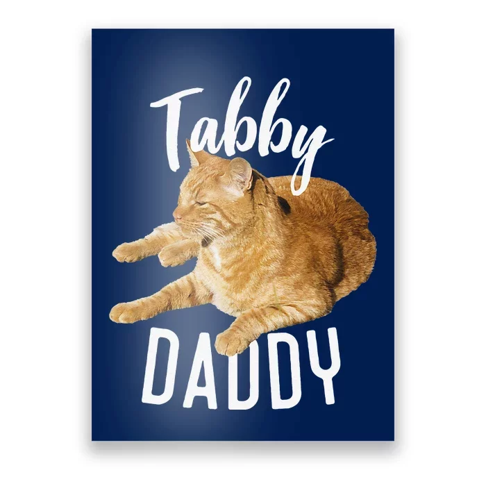 Tabby Daddy Cat Lover Funny Saying Graphic Gift Poster