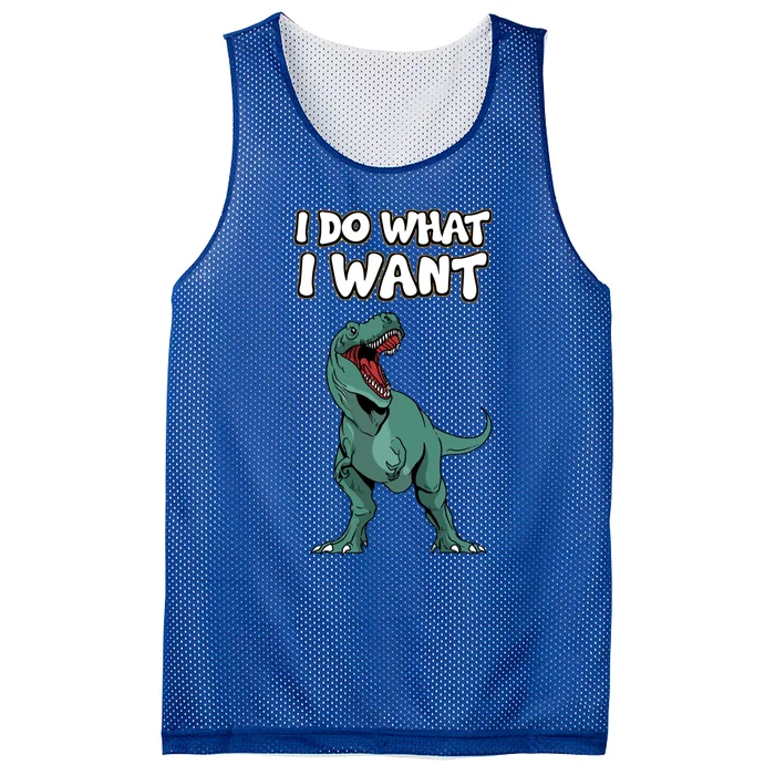 Tgiftrex Dinosaur Dino Tyrannosaurus Gift I Do What I Want Gift Mesh Reversible Basketball Jersey Tank