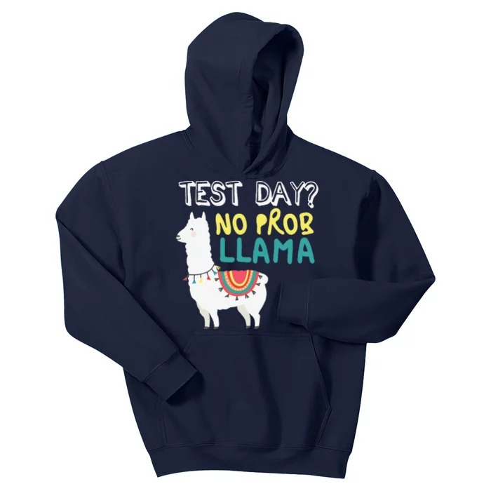 Test Day Llama Teacher Exam Testing Teaching Funny Kids Hoodie