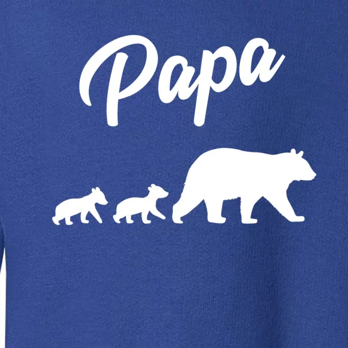 Twin Dad Papa Bear Two Cubs 2 FatherS Day Gift Great Gift Toddler Sweatshirt