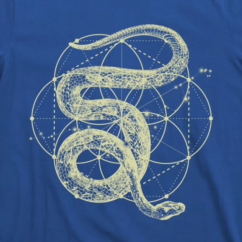 The Dharma Store Funny Gift Sacred Geometry Funny Gift Seed Of Life Snake Gift T-Shirt