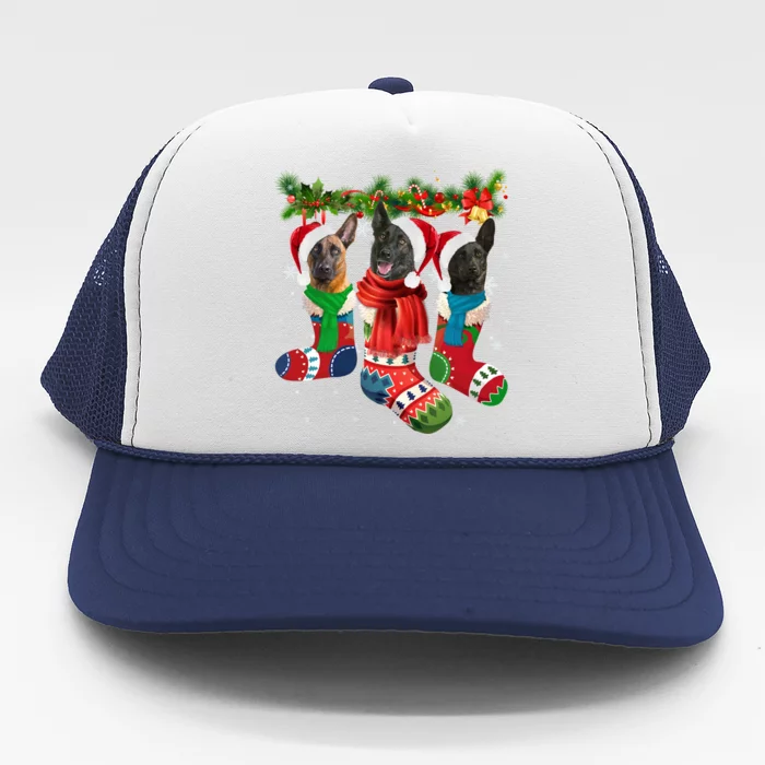 Three Dutch Shepherds In Christmas Socks Trucker Hat