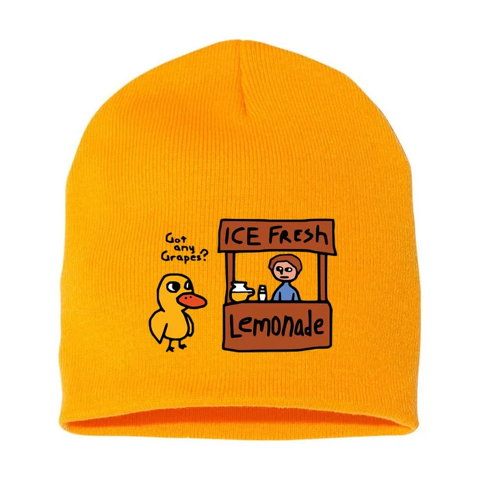 The Duck Song Got Any Grapes Funny Meme Short Acrylic Beanie