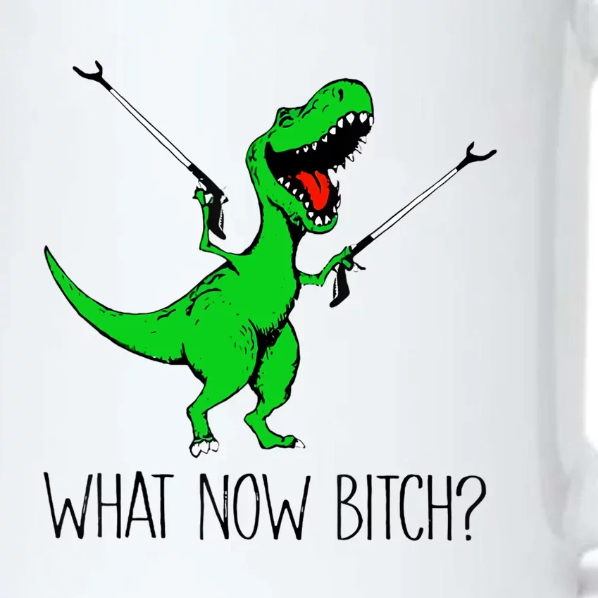 TRex Dinosaur What Now Bitch Funny Tyrannosaurus Rex TShirt Black Color Changing Mug