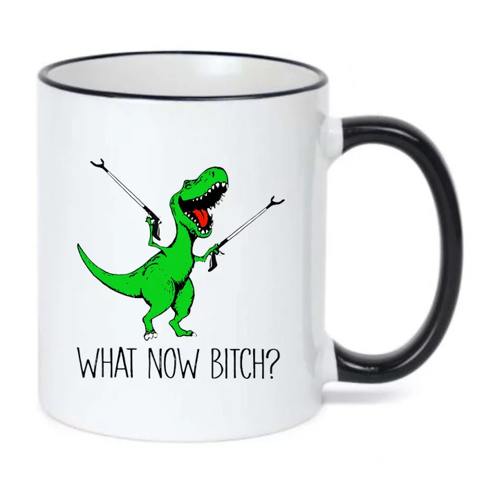 TRex Dinosaur What Now Bitch Funny Tyrannosaurus Rex TShirt Black Color Changing Mug