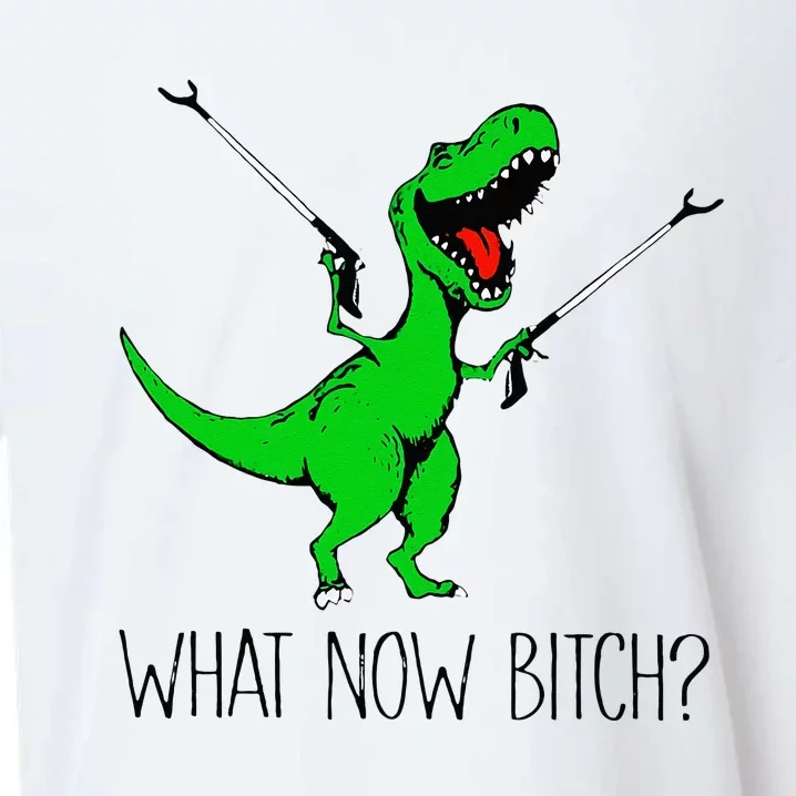 TRex Dinosaur What Now Bitch Funny Tyrannosaurus Rex Sueded Cloud Jersey T-Shirt