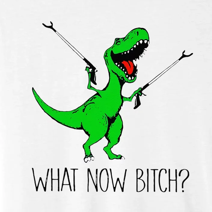 TRex Dinosaur What Now Bitch Funny Tyrannosaurus Rex ChromaSoft Performance T-Shirt