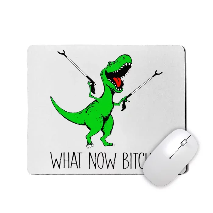 TRex Dinosaur What Now Bitch Funny Tyrannosaurus Rex Mousepad