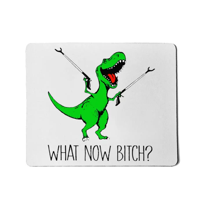 TRex Dinosaur What Now Bitch Funny Tyrannosaurus Rex Mousepad