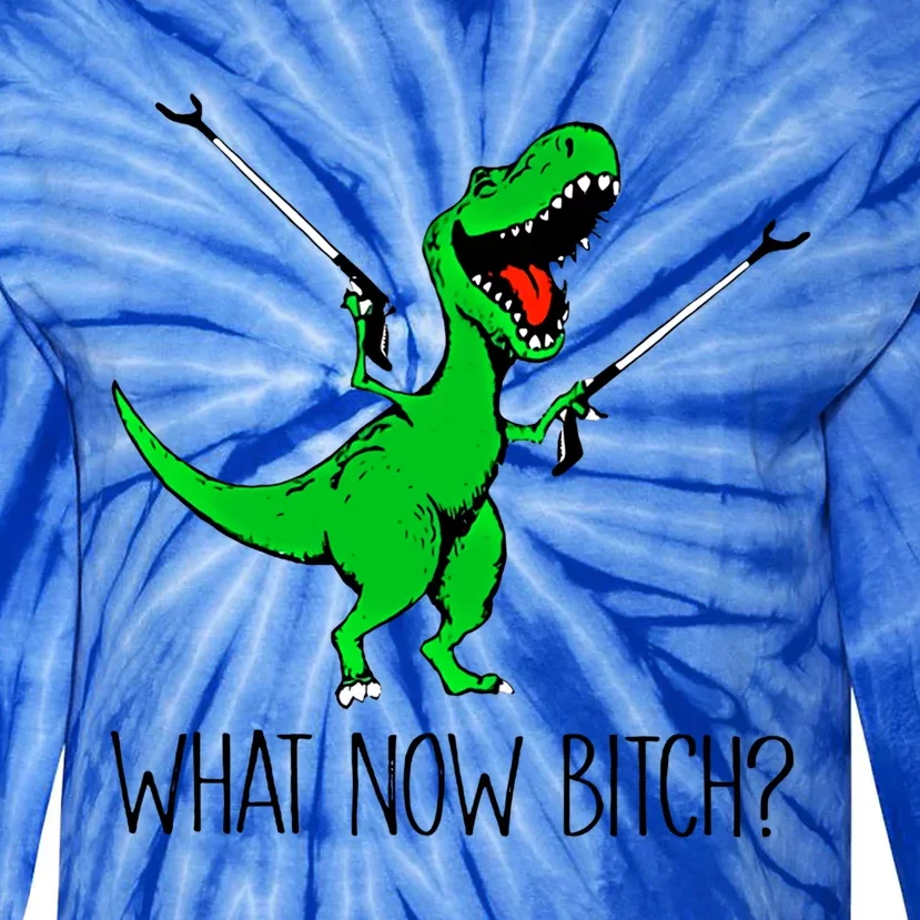 Tgiftrex Dinosaur What Now Bitch Funny Tyrannosaurus Rex Gift Tie-Dye Long Sleeve Shirt