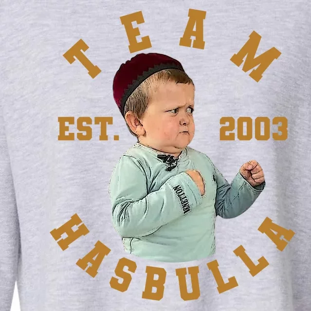 Team Hasbulla Est 2003 Meme Cropped Pullover Crew