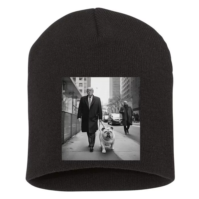 Trump English Bulldog Downtown Funny Political Short Acrylic Beanie