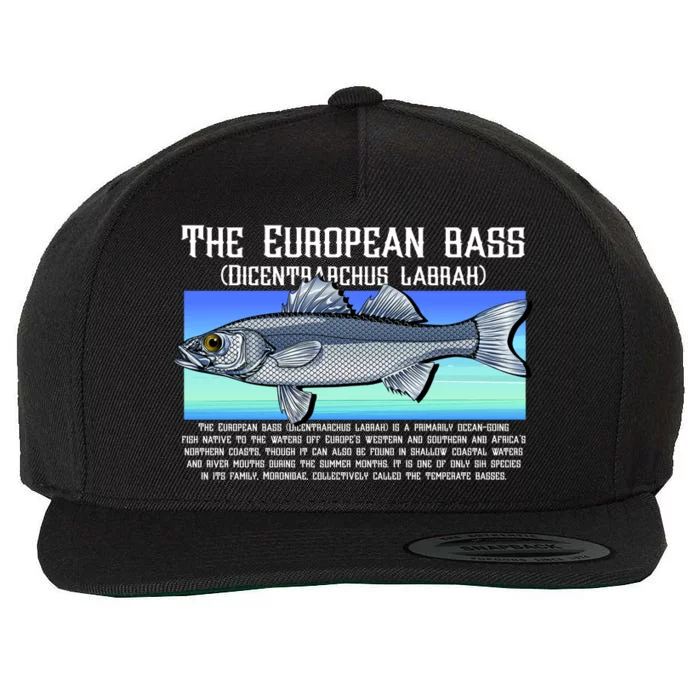 The European Bass Wool Snapback Cap