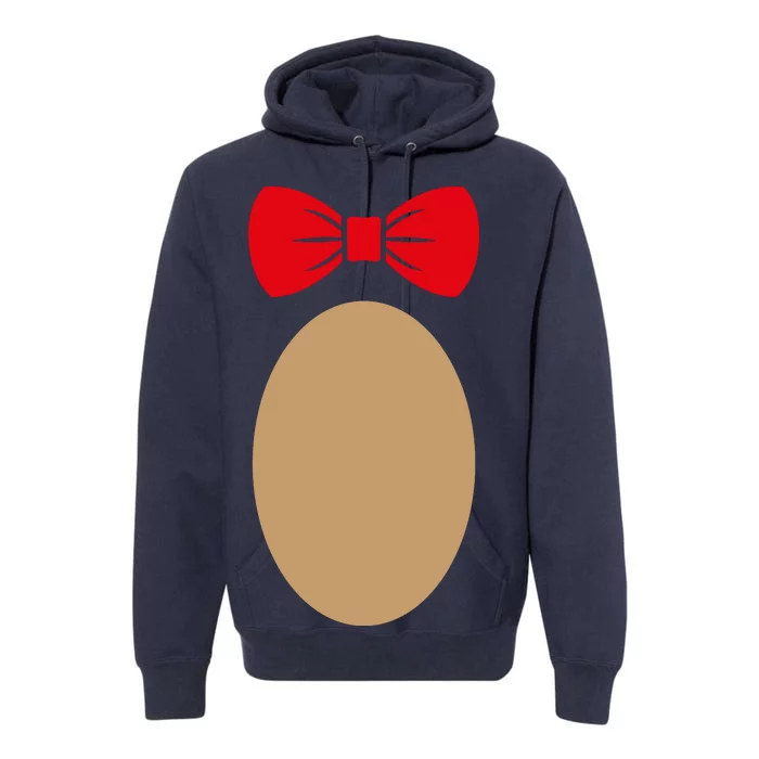 Teddy Bear Costume Premium Hoodie