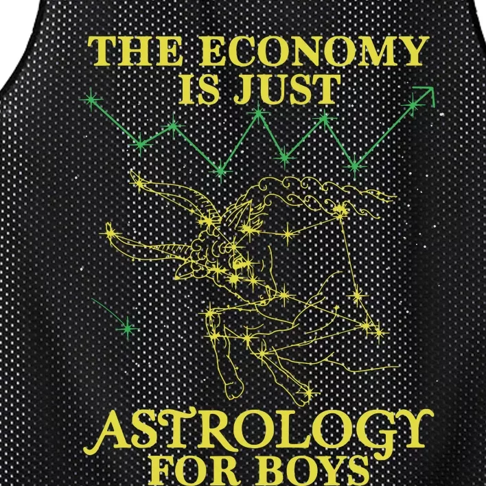 The Economy Is Just Astrology For Boy Mesh Reversible Basketball Jersey Tank