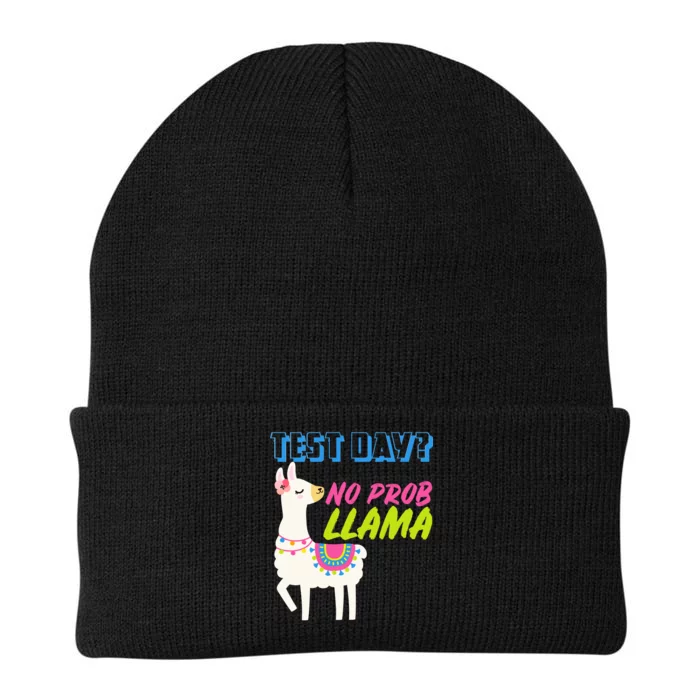 Test Day? No Probllama Knit Cap Winter Beanie