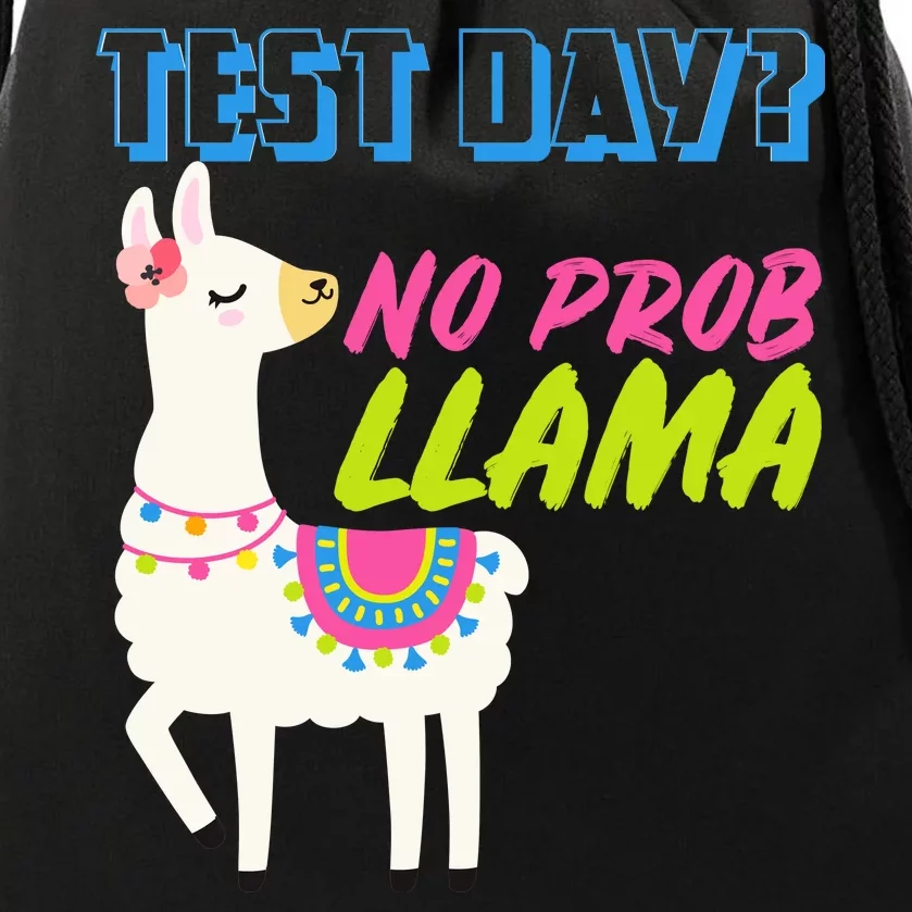 Test Day? No Probllama Drawstring Bag