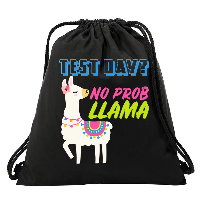 Test Day? No Probllama Drawstring Bag