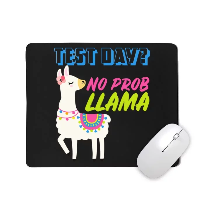 Test Day? No Probllama Mousepad