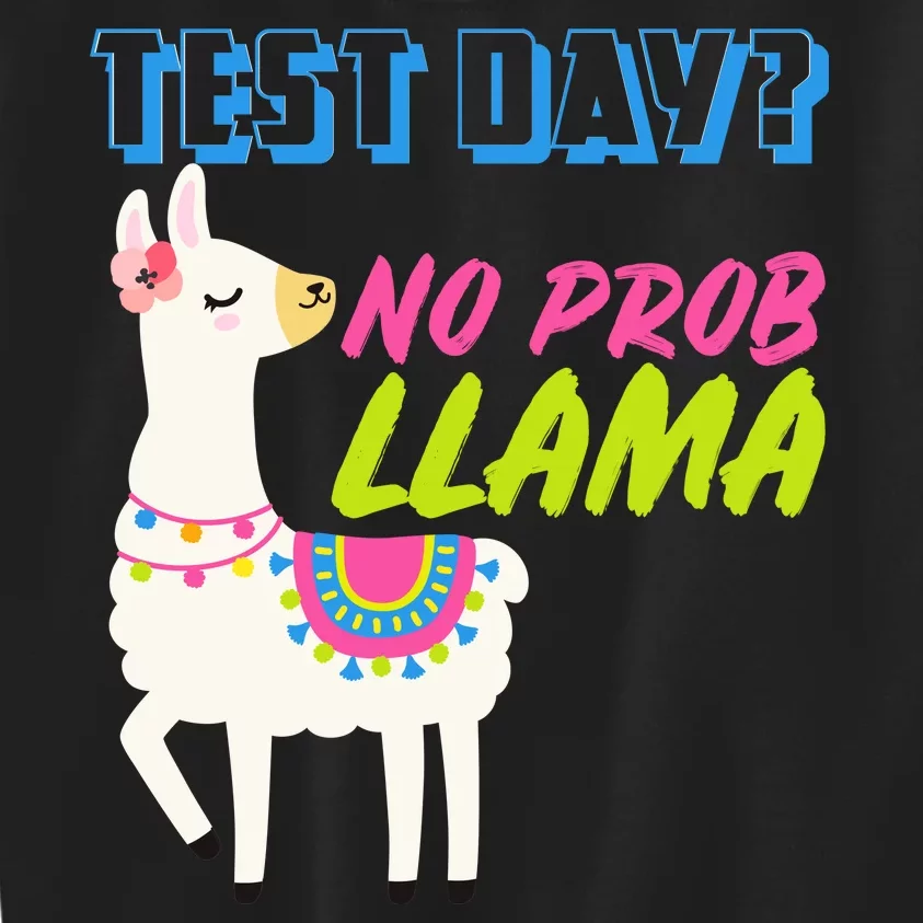 Test Day? No Probllama Kids Sweatshirt