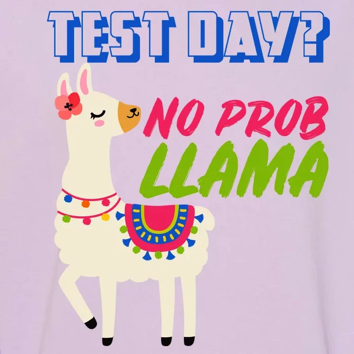 Test Day? No Probllama Garment-Dyed Sweatshirt