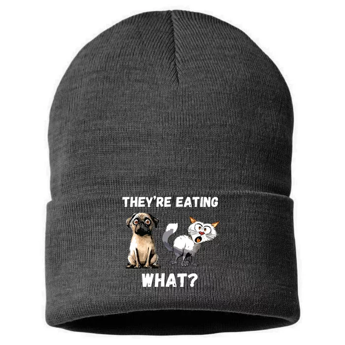 They’Re Eating The Dogs They’Re Eating The Cats The Pets Sustainable Knit Beanie