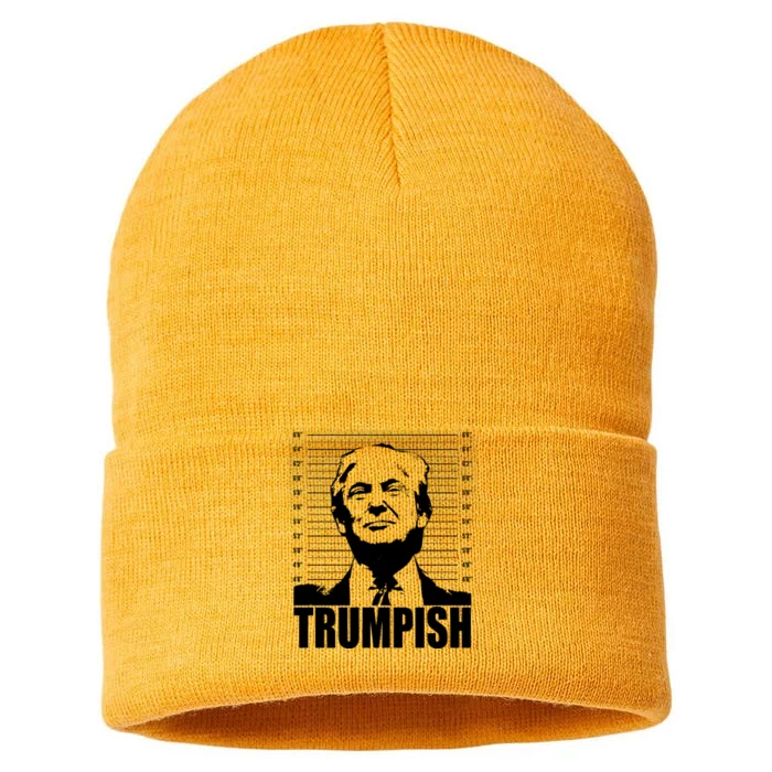 Trumpish Funny Donald Trump Mugshot Sustainable Knit Beanie