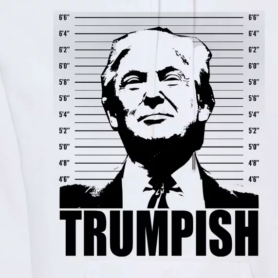 Trumpish Funny Donald Trump Mugshot Premium Hoodie