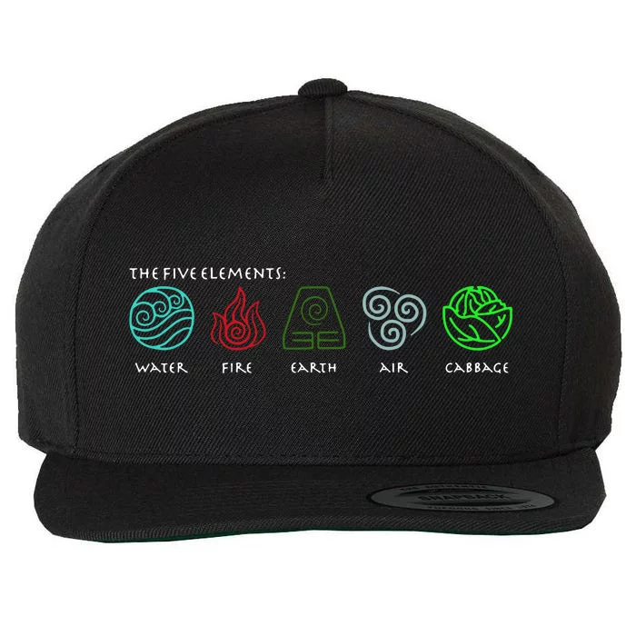 The Five Elements Avatar Wool Snapback Cap