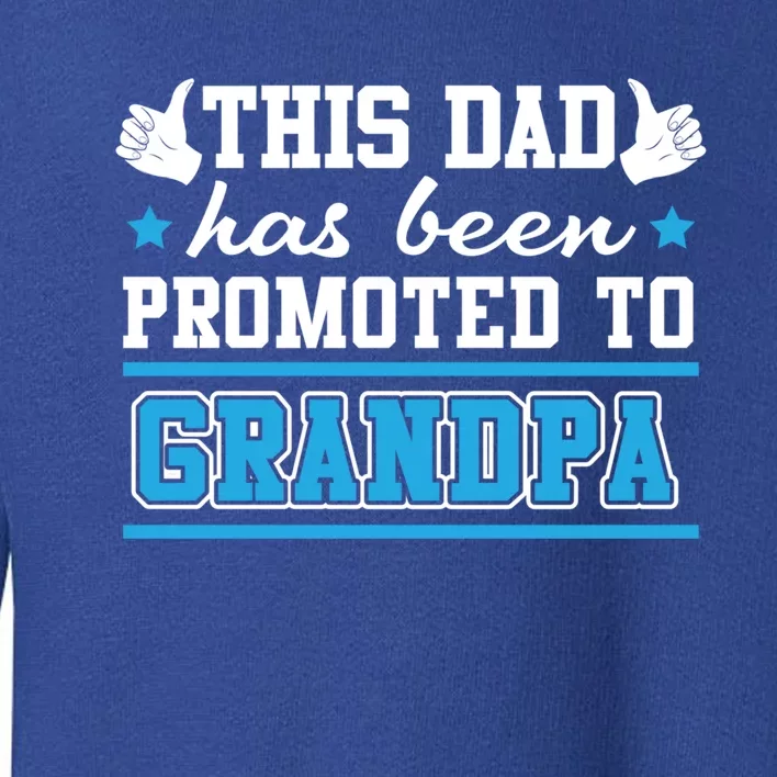 This Father Promoted To Grandpa Gift Toddler Sweatshirt