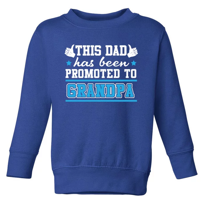 This Father Promoted To Grandpa Gift Toddler Sweatshirt