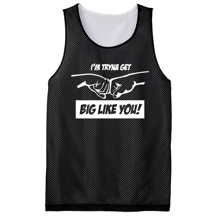 Team Full Rom IM Tryna Get Big Like You Mesh Reversible Basketball Jersey Tank