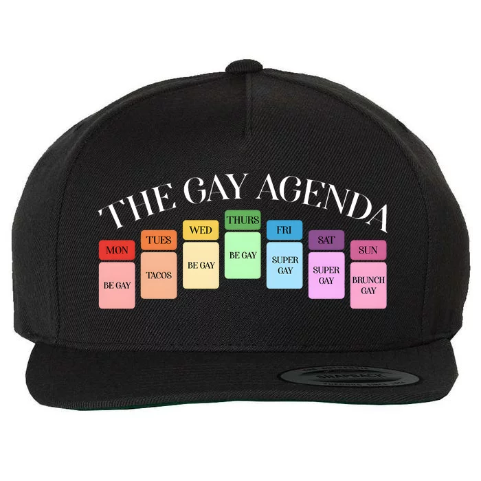 The Gay Agenda Lgbt Pride Month Wool Snapback Cap