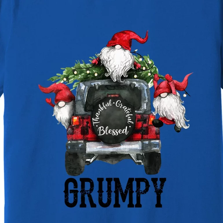 Thankful Grateful Blessed Grumpy Grandpa Gift Premium T-Shirt