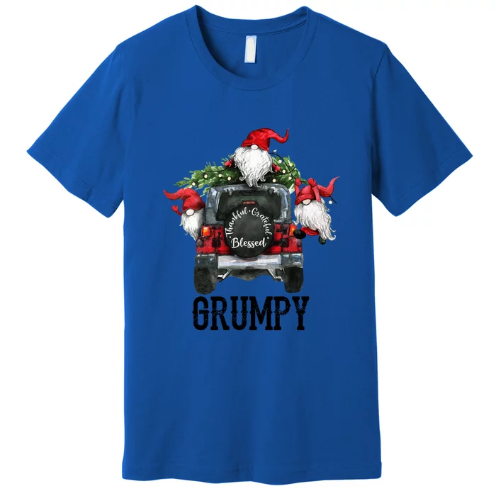 Thankful Grateful Blessed Grumpy Grandpa Gift Premium T-Shirt