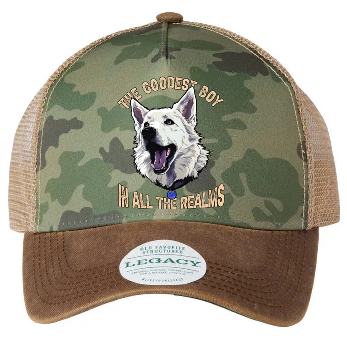 The Goodest Boy In All Realms Baldurs Gate 3 Dog Legacy Tie Dye Trucker Hat