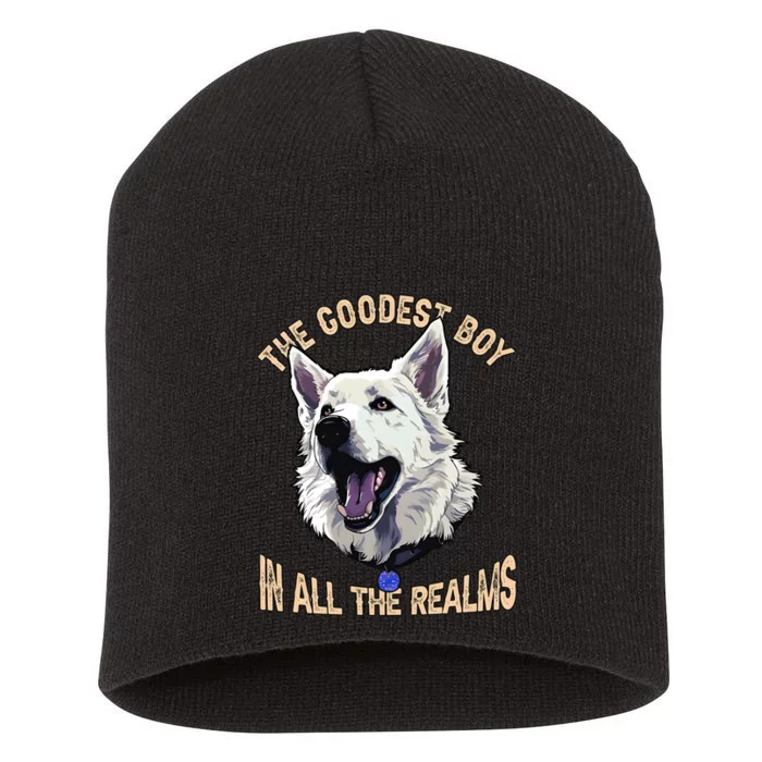 The Goodest Boy In All Realms Baldurs Gate 3 Dog Short Acrylic Beanie