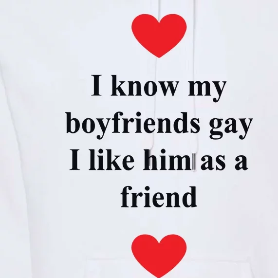 That Go Hard I Know My Boyfriends Gay I Like Him As A Friend Premium Hoodie