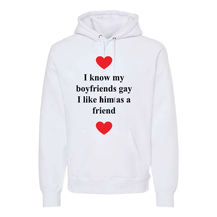 That Go Hard I Know My Boyfriends Gay I Like Him As A Friend Premium Hoodie