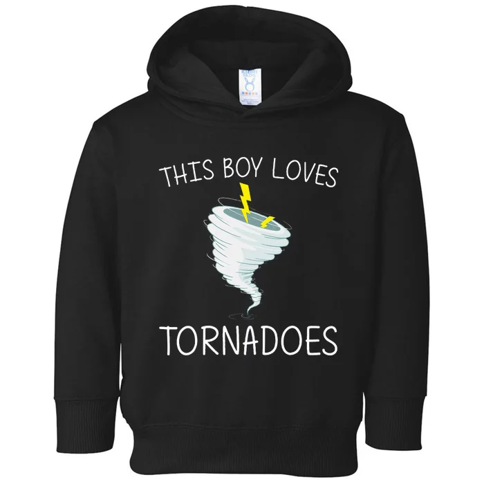 Tornado Gift Hurricane Weather Chaser Toddler Hoodie