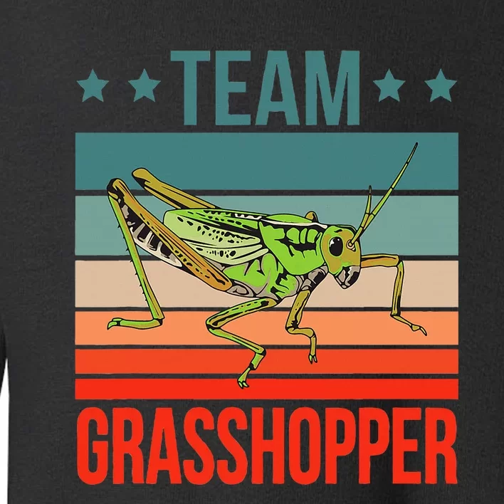 Team Grasshopper Locust Entomologist Insect Grasshopper Toddler Sweatshirt