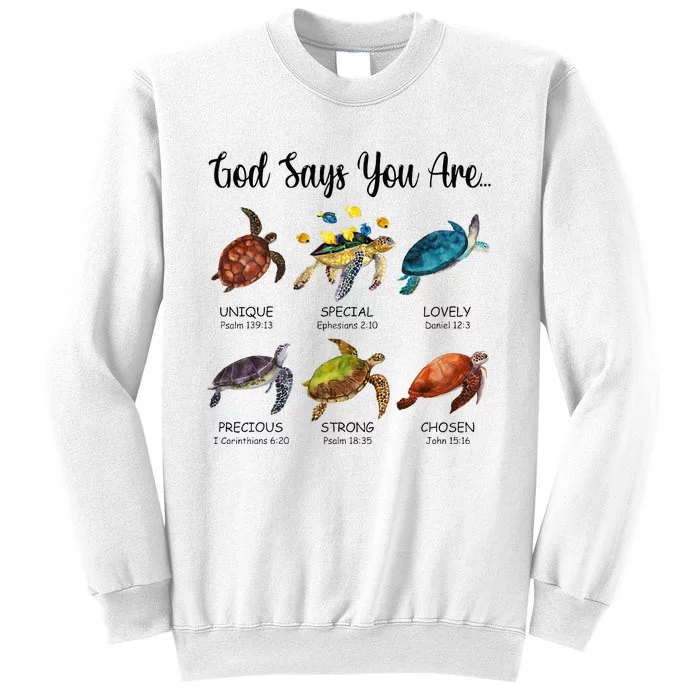 Turtle God Say You Are Religious Jesus Faith Christ Sweatshirt