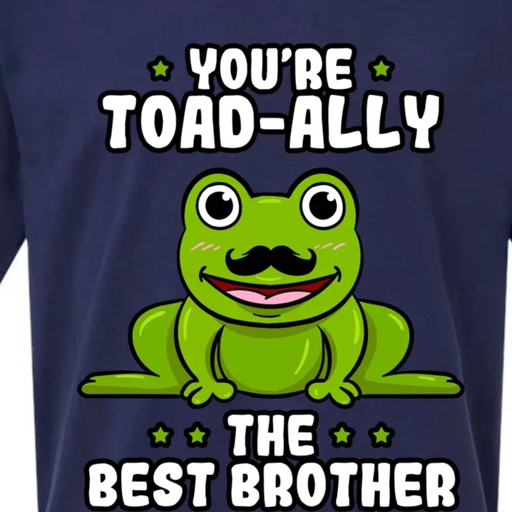 Toadfunny Giftally The Best Brother Frog Lover Toad Bro Cute Gift Sueded Cloud Jersey T-Shirt