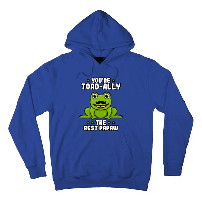 Toadcute Giftally The Best Papaw Frog Lover Toad Grandfather Great Gift Tall Hoodie